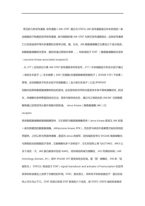 常见信号通路