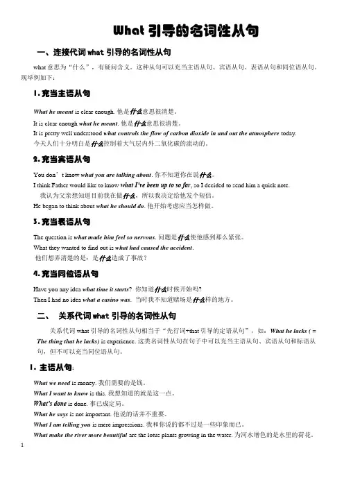 What引导的名词性从句