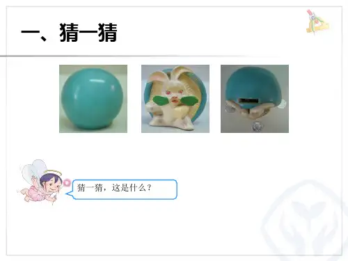 新人教版小学数学二年级观察物体ppt课件