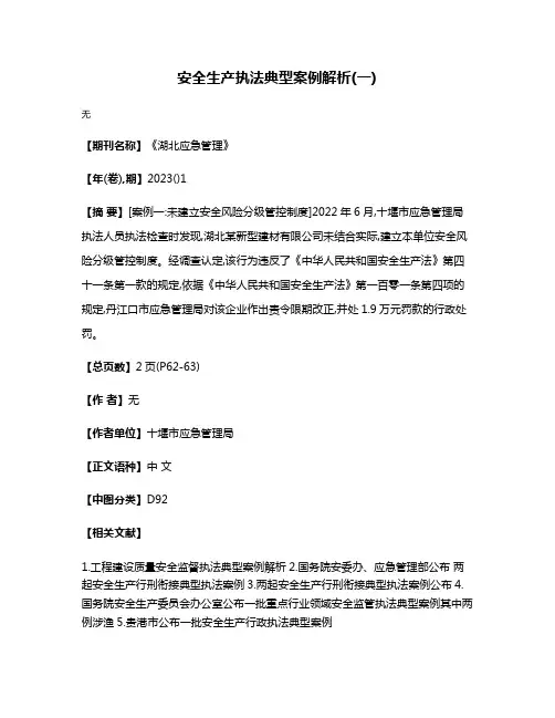 安全生产执法典型案例解析(一)