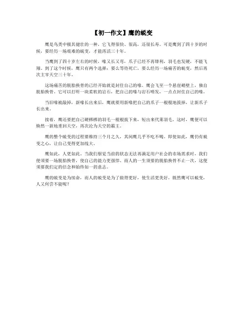【初一作文】鹰的蜕变