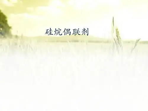 硅烷偶联剂 PPT课件