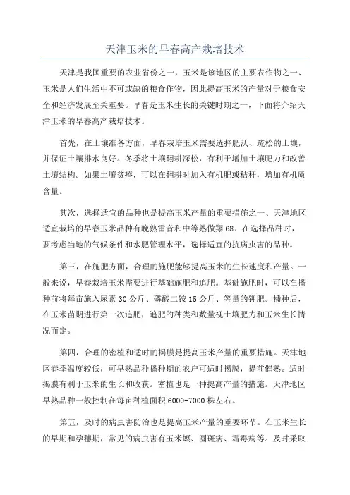 天津玉米的早春高产栽培技术