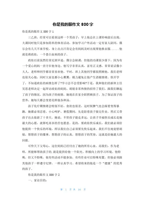 你是我的眼作文800字