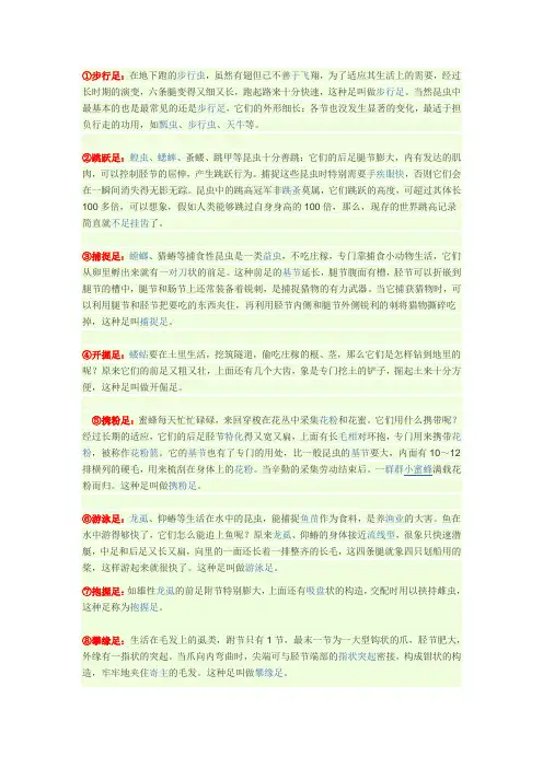 昆虫触角、足、翅的类型及代表