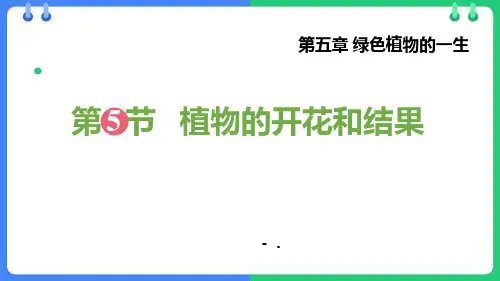 《植物的开花和结果》PPT课件
