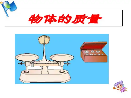 沪粤版初中物理八上 5.1  物体的质量  课件 