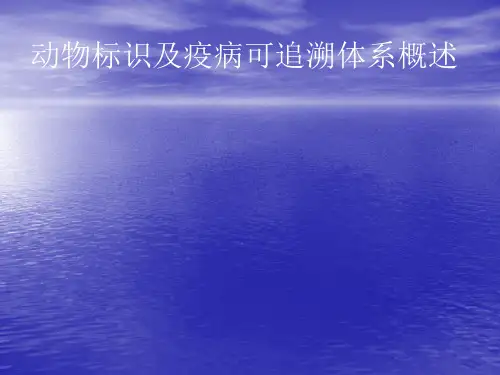 动物标识及疫病可追溯体系概述