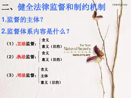 八年级政治建设社会主义法治国家(PPT)2-2