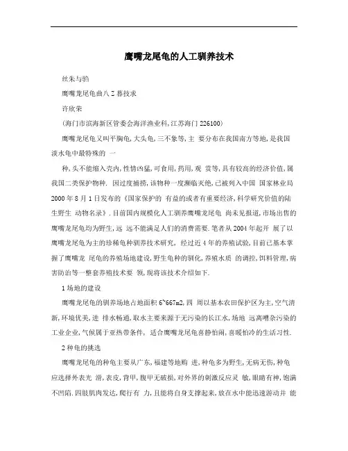 鹰嘴龙尾龟的人工驯养技术