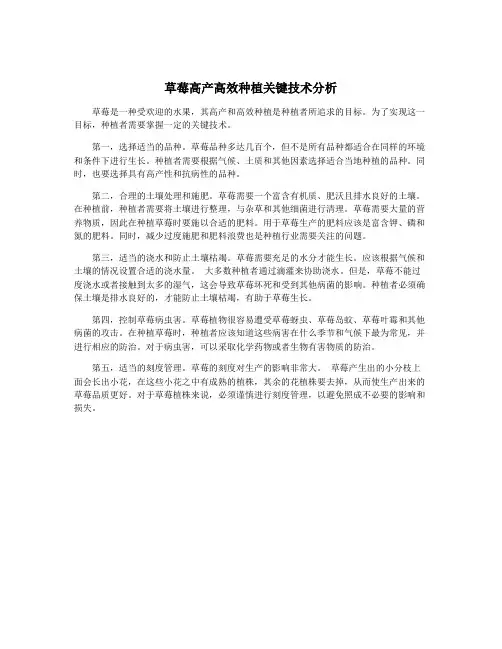 草莓高产高效种植关键技术分析