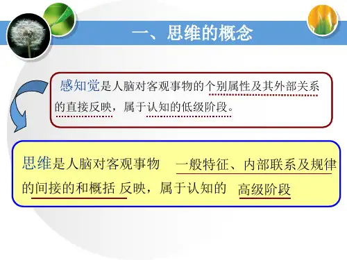 第五章幼儿思维与言语的发展ppt课件