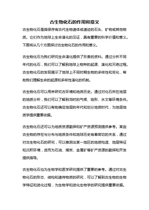 古生物化石的作用和意义