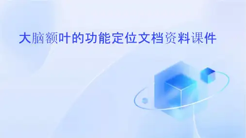 大脑额叶的功能定位文档资料课件