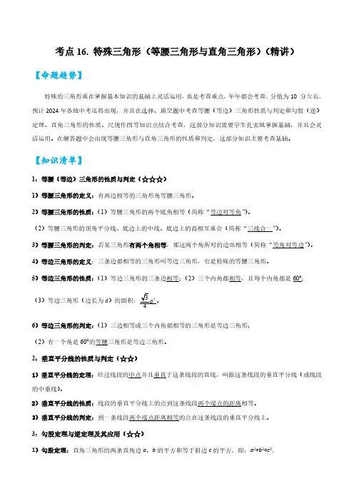 考点16 特殊三角形(等腰三角形与直角三角形)(精讲)(解析版)