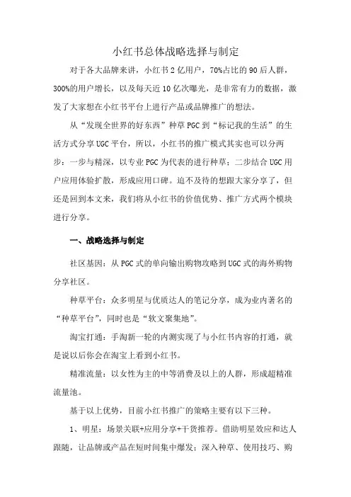 小红书总体战略选择与制定