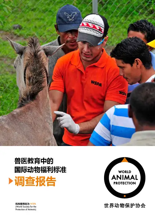 兽医教育中的国际动物福利标准调查报告