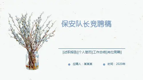 保安队长竞聘稿PPT
