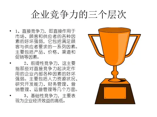 最新如何提升企业核心竞争力PPT课件