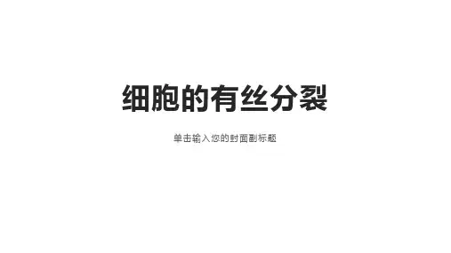 有丝分裂专题PPT优质课件 (34张ppt)