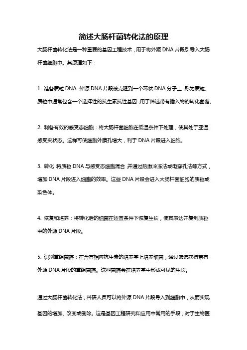 简述大肠杆菌转化法的原理