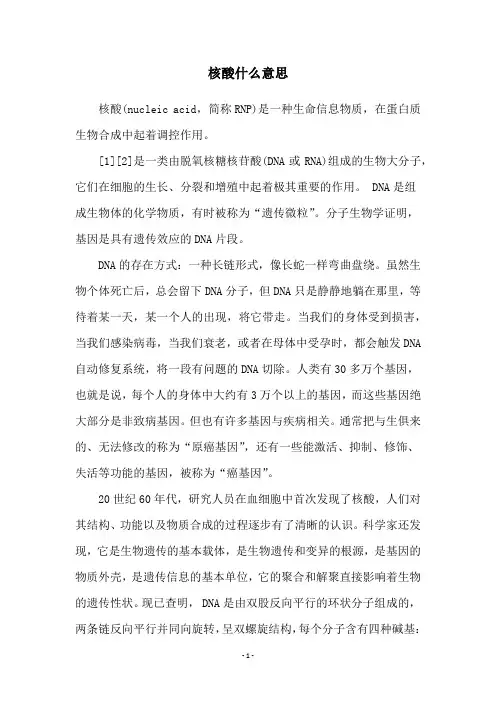核酸什么意思