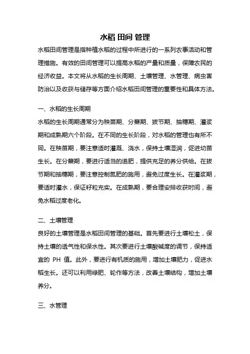 水稻 田间 管理
