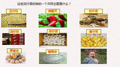 高中政治必修一2.1影响价格的因素 课件