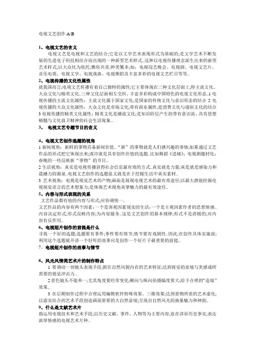 电视文艺创作