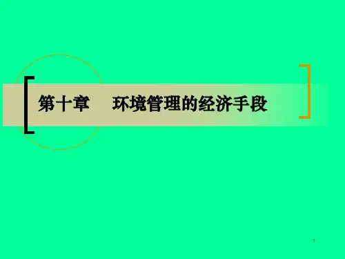 第11章 环境管理的经济手段