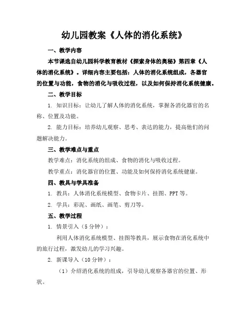 幼儿园教案《人体的消化系统》