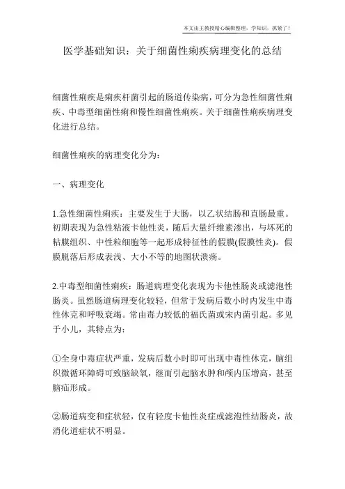 医学基础知识：关于细菌性痢疾病理变化的总结