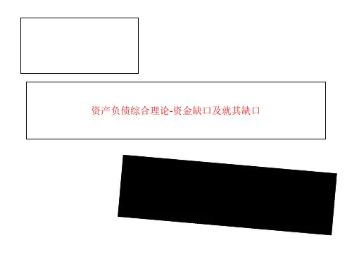 资产负债综合理论-资金缺口及就其缺口