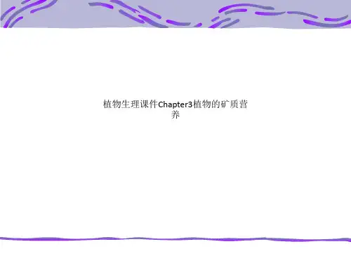 植物生理课件Chapter3植物的矿质营养