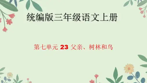 父亲、树林和鸟ppt课件