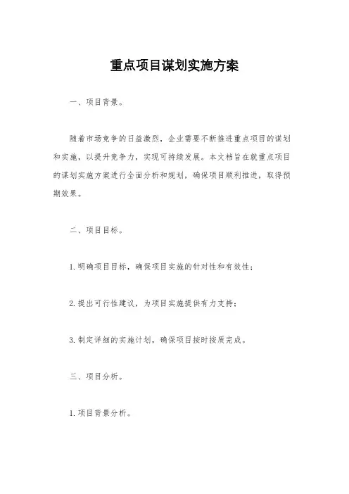 重点项目谋划实施方案