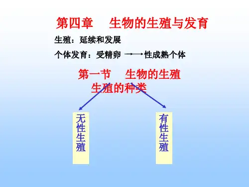 生殖的种类