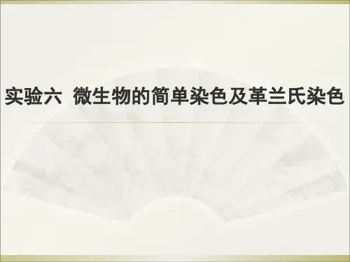 实验六微生物的简单染色及革兰氏染色