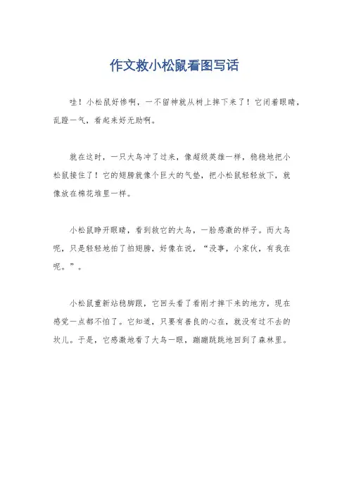 作文救小松鼠看图写话