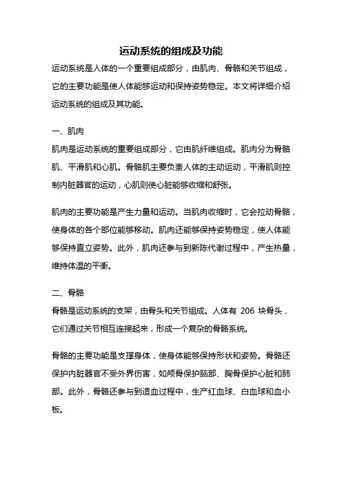运动系统的组成及功能