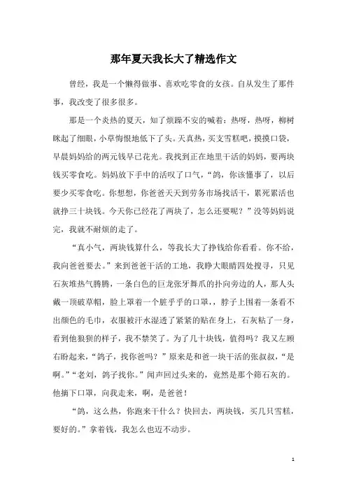 那年夏天我长大了精选作文