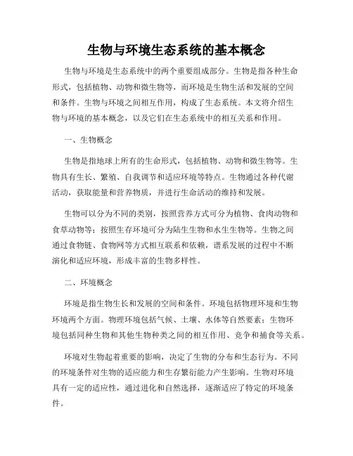 生物与环境生态系统的基本概念