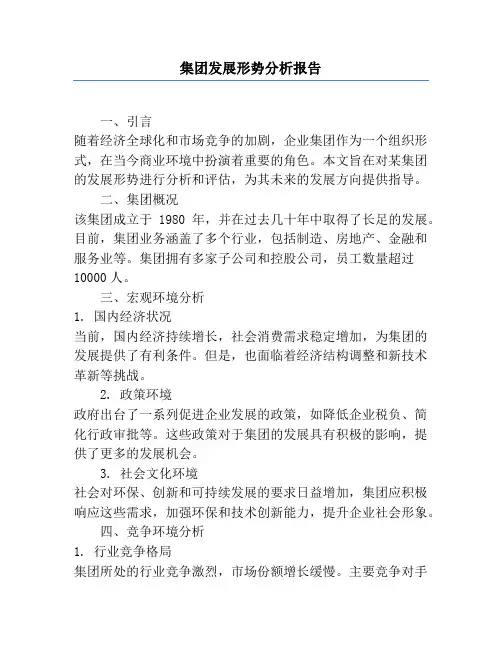 集团发展形势分析报告