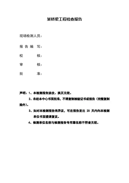 桥梁检测报告模板