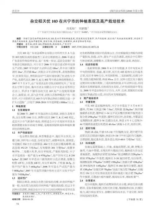 杂交稻天优103在兴宁市的种植表现及高产栽培技术