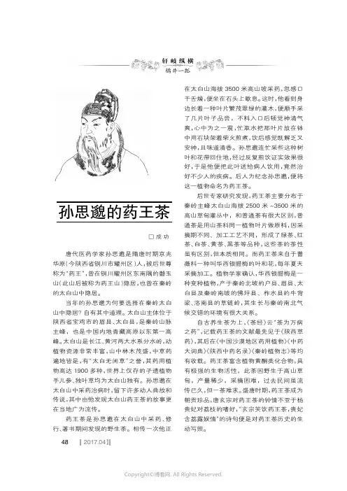 孙思貌的药王茶