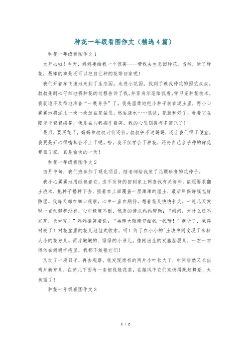 种花一年级看图作文(精选4篇)