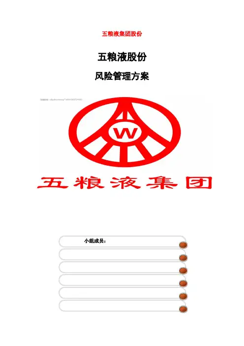 五粮液风险管理方案说明