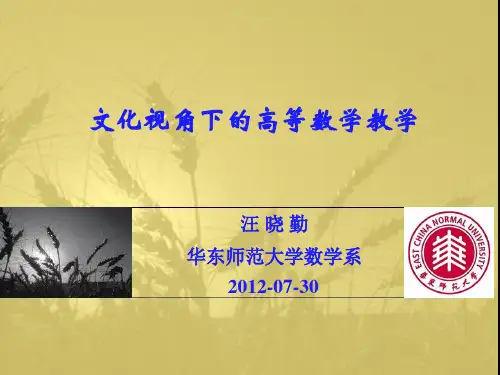华东师范大学--文化视角下的高等数学教学