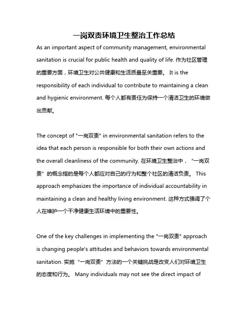一岗双责环境卫生整治工作总结